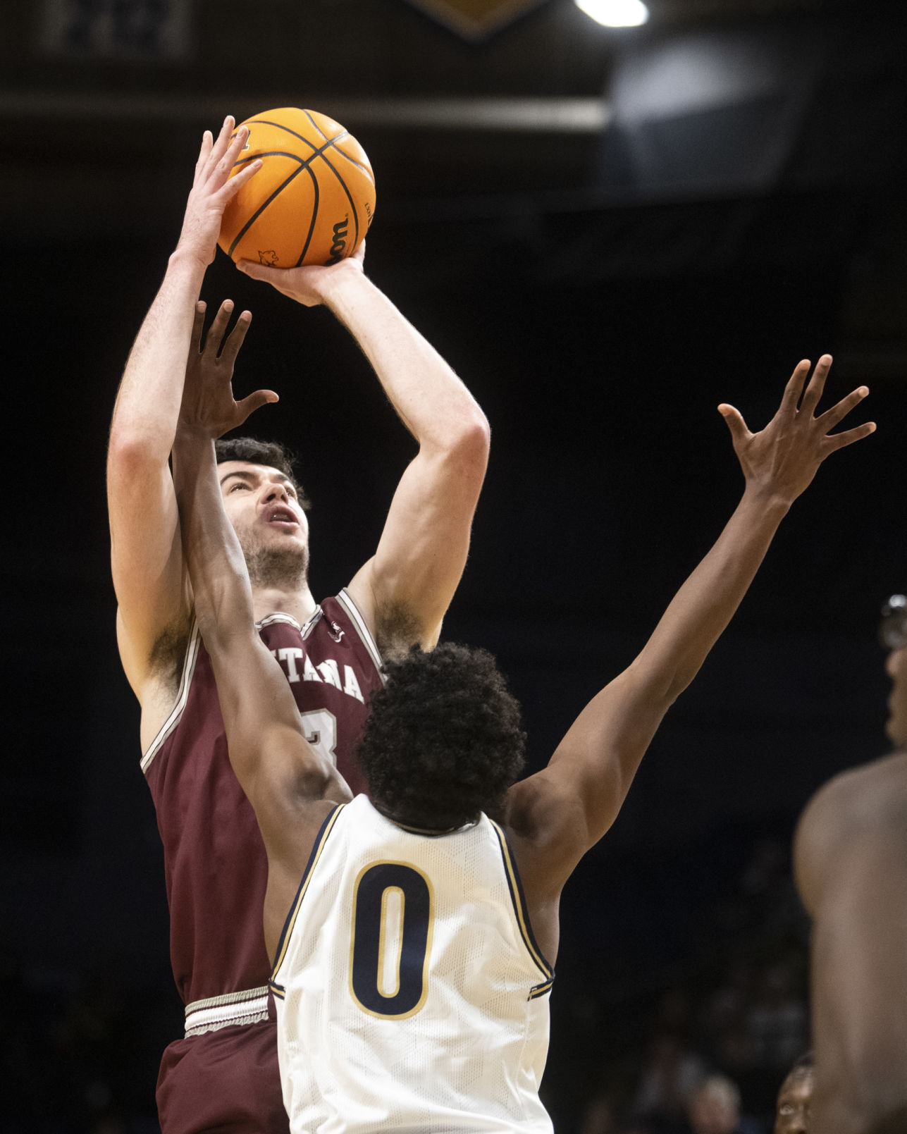 Brawl of the Wild basketball 24.JPG